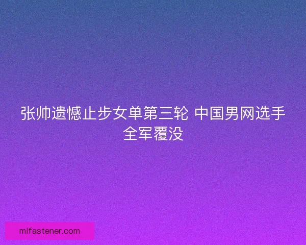 张帅遗憾止步女单第三轮 中国男网选手全军覆没